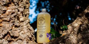 Flacon de savon Centrale Corse Bio posé sur une branche d'arbre