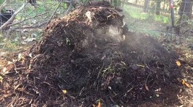 Un tas de compost qui chauffe