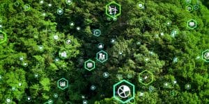 forêt avec par dessus des pictos symbolisant des données chiffrées